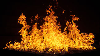 The Red And Orange Life