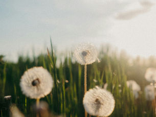 Exploring the Immanuel Encounter Lifestyle: A Path to Wholeness