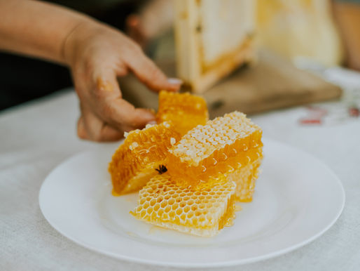 Morceaux de rayon de miel brut sur une assiette blanche, tenus à la main — texture dense, intacte, symbole d’un miel non transformé et enraciné
