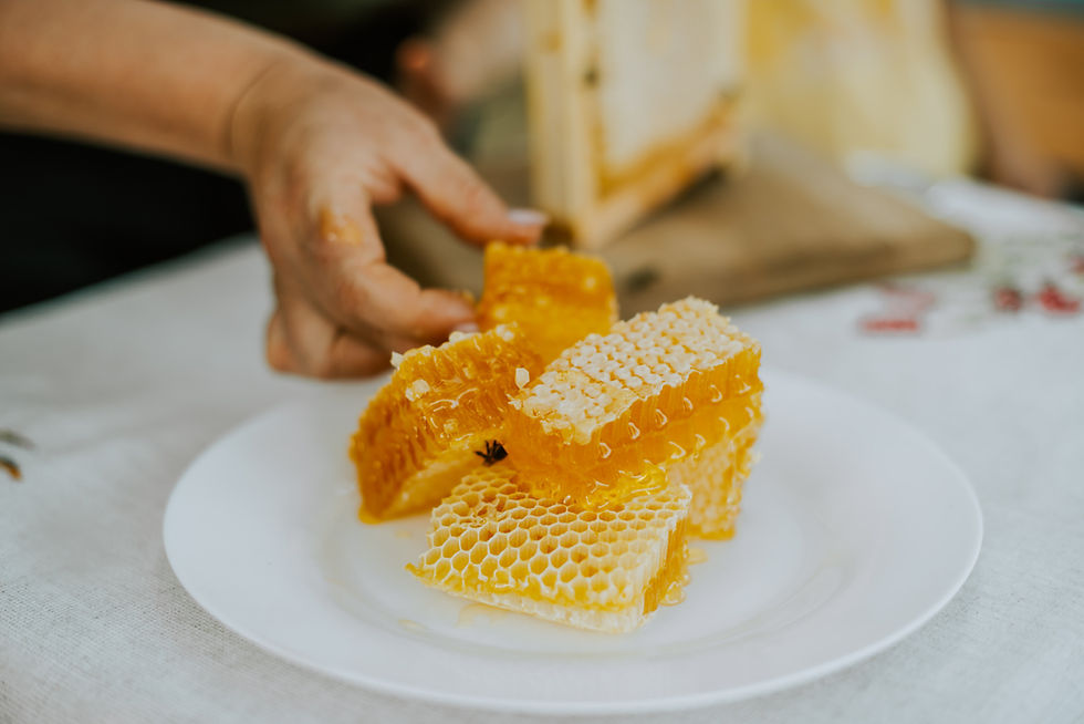 Morceaux de rayon de miel brut sur une assiette blanche, tenus à la main — texture dense, intacte, symbole d’un miel non transformé et enraciné