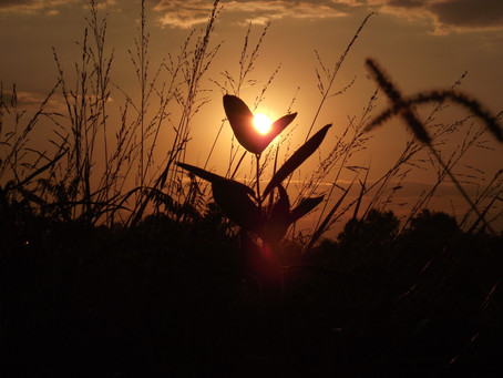 The Morning of Hope