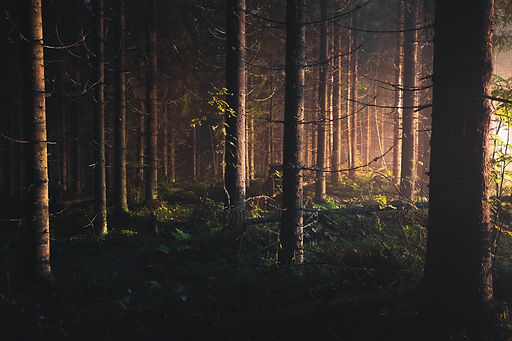 Image by Niilo Isotalo