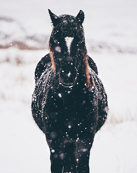 Image by Thomas Tucker