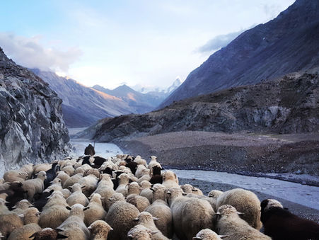 An Introduction to Psalm 23: Our Declaration of Dependence