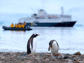 Unveiling the Frozen Marvel: 5 Reasons to Set Sail on an Antarctic Expedition
