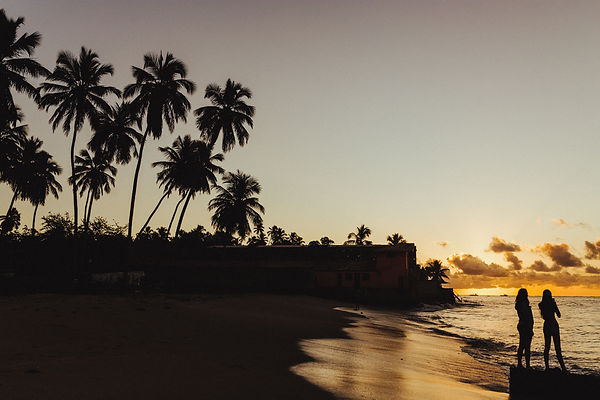 Sun sets behind palm trees on the ocean, Maragogi