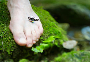 Image by Monica Silva