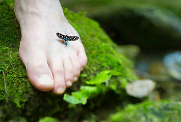 Image by Monica Silva