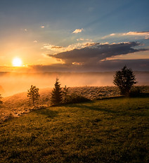 Image de Dawid Zawiła