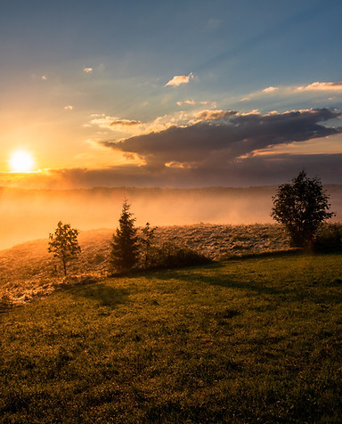 Image by Dawid Zawiła