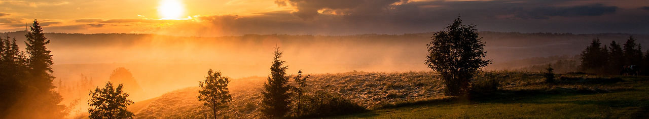 Image by Dawid Zawiła