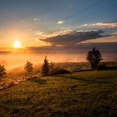 Sonnenuntergang - Bild von Dawid Zawita