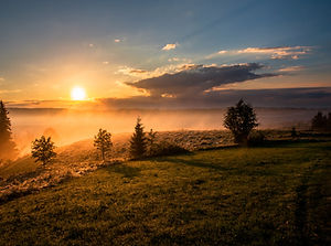 Sun and horizon - image by Dawid Zawiła