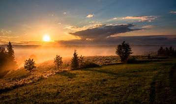 Image by Dawid Zawiła