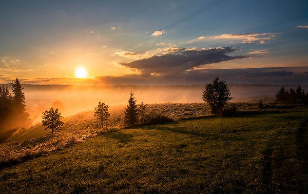 Image by Dawid Zawiła