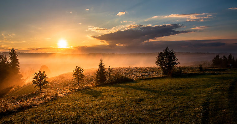 Image by Dawid Zawiła