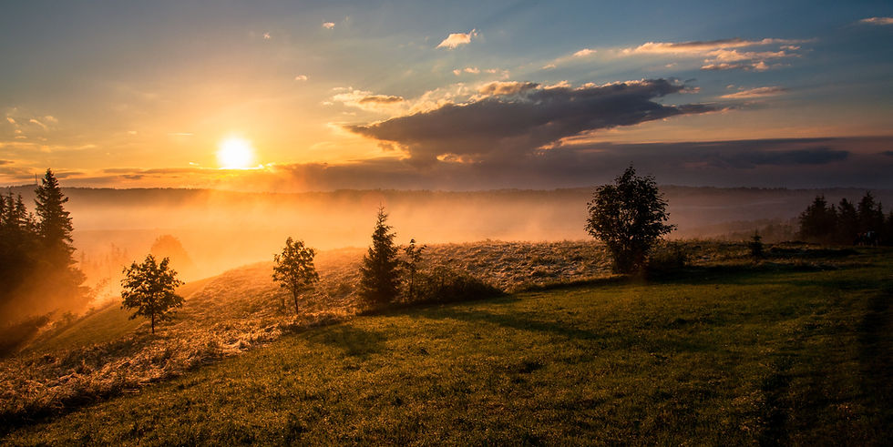 Image by Dawid Zawiła
