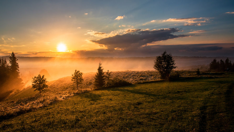 A soft sunrise over a quiet landscape