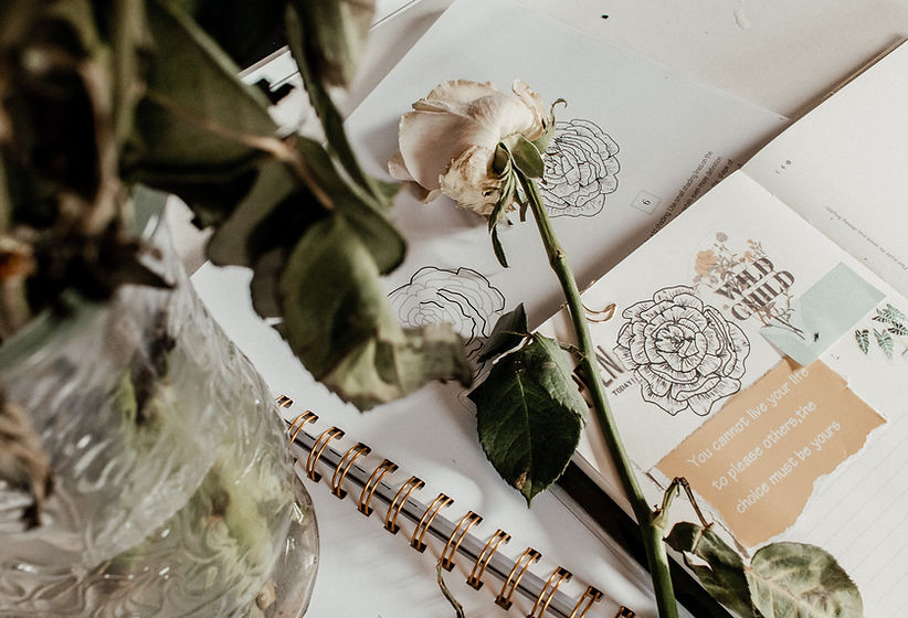 Image by Vanessa Serpas
