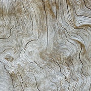 Image by Peter Aschoff