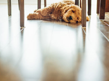 Floored