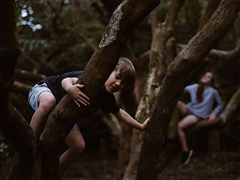Image by Annie Spratt