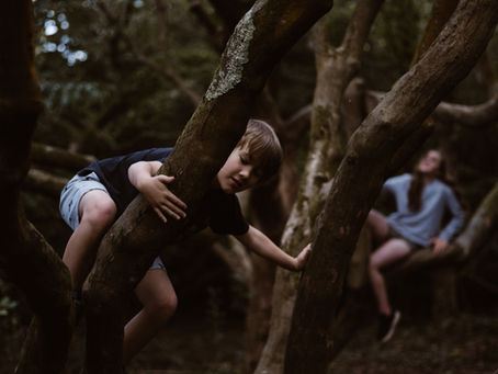 The Importance of Risk Taking in Early Childhood