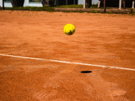 Bounce - Matthew Syed