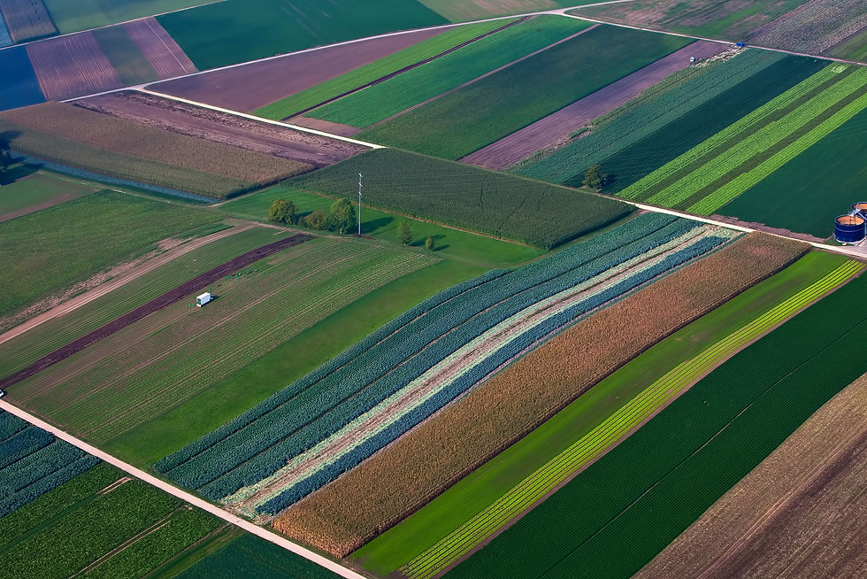 Ackerflächen Pacht Zahlung Landpacht Ackerpacht Landwirtschaft