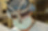 Image by National Cancer Institute