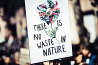 Image by Markus Spiske