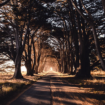 Massage, Carquefou, Sainte Luce sur Loire, Sucé sur Erdre, Nantes, Saint Mars du Désert, La Chapelle sur Erdre, Thouaré sur Loire, Longue route bordée d'arbres de part et d'autre, comme un tunnel, au soleil couchant.