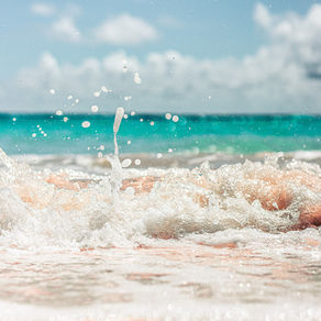 Oceans on the Mend: A Conscious Restoration