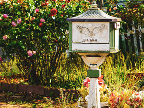 485改地址:申请流程、注意事项与风险防控全面解析