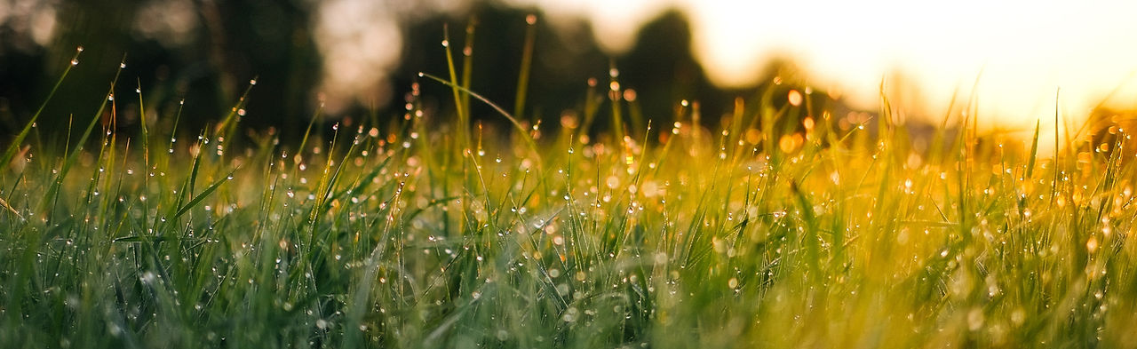 Image by Jonas Weckschmied