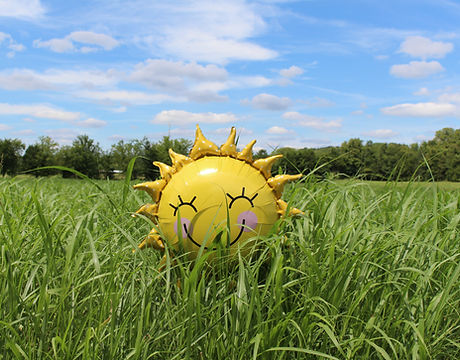 Image by Laura Pratt