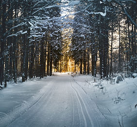 Image by Simon Matzinger