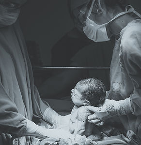 Image by Patricia Prudente