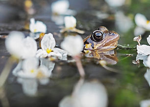 Image by Vincent van Zalinge