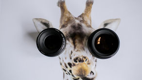 Your Lens