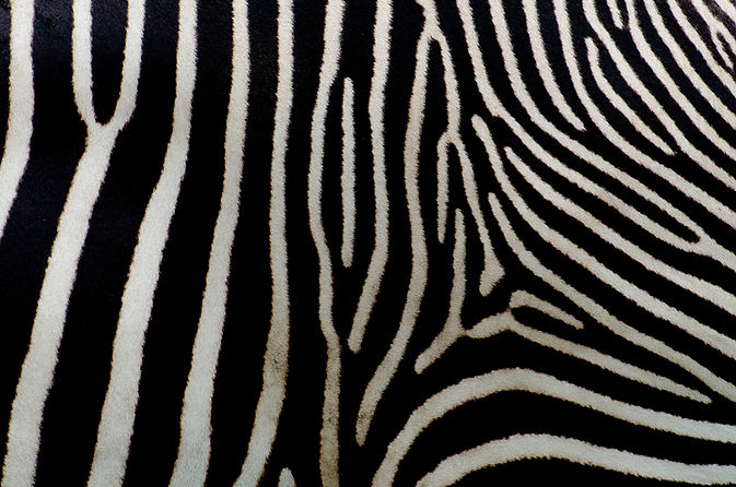 Image by Stephane YAICH