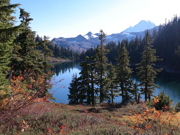 Missing the Wilderness