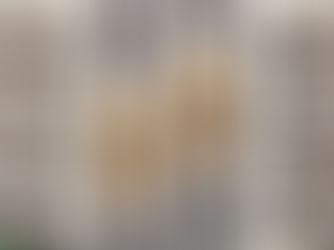 May One Use An Elevator On Shabbat?