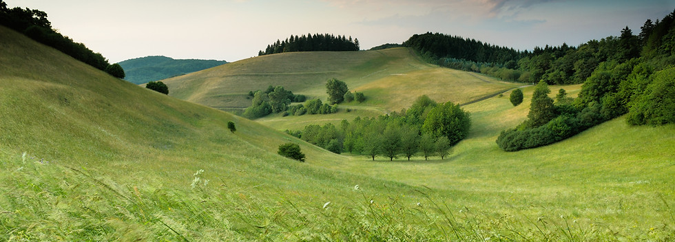 Image by Claudio Testa