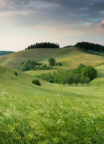 Image by Claudio Testa