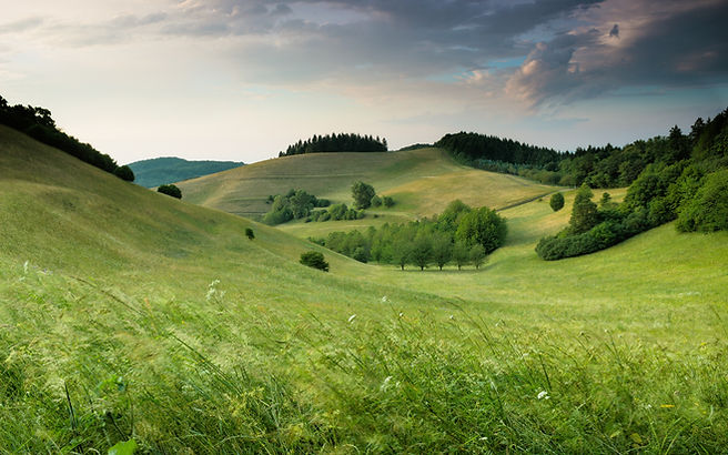Image by Claudio Testa