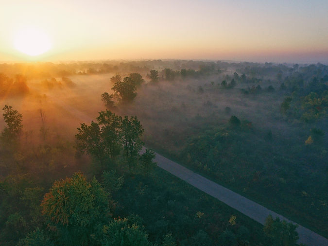 Image by Aaron Burden