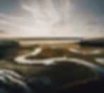 The Salt Marsh (self-guided)