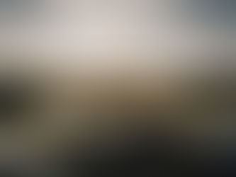 10 ways to protect your car in the Lowcountry