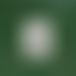 New Project: Animal Research in Dialog at University of Zürich